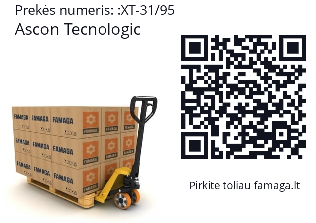   Ascon Tecnologic XT-31/95