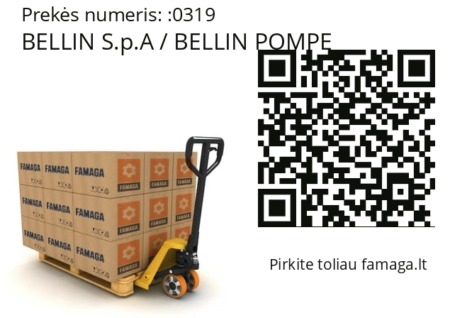   BELLIN S.p.A / BELLIN POMPE 0319
