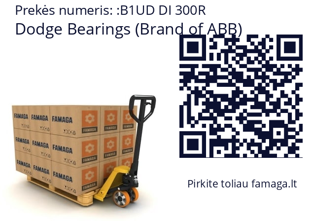   Dodge Bearings (Brand of ABB) B1UD DI 300R