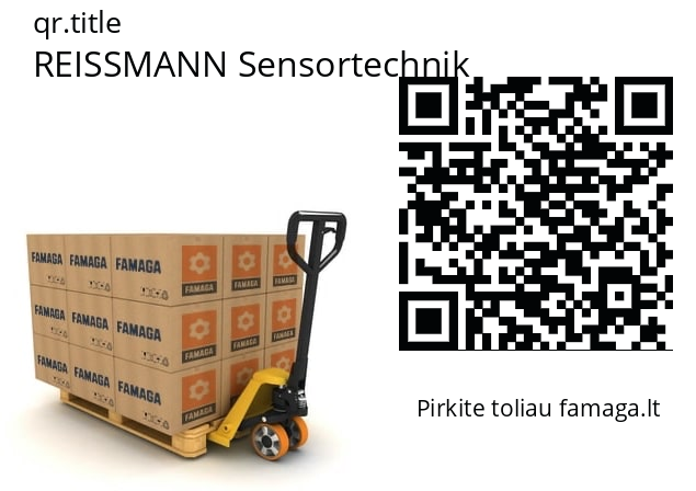   REISSMANN Sensortechnik 004297