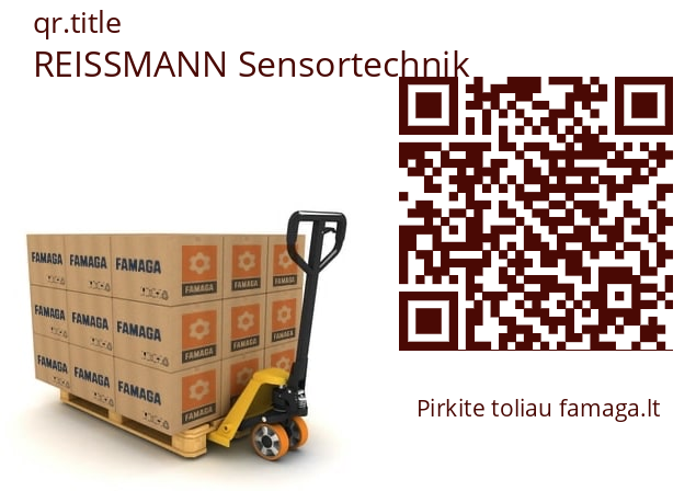   REISSMANN Sensortechnik 004279.